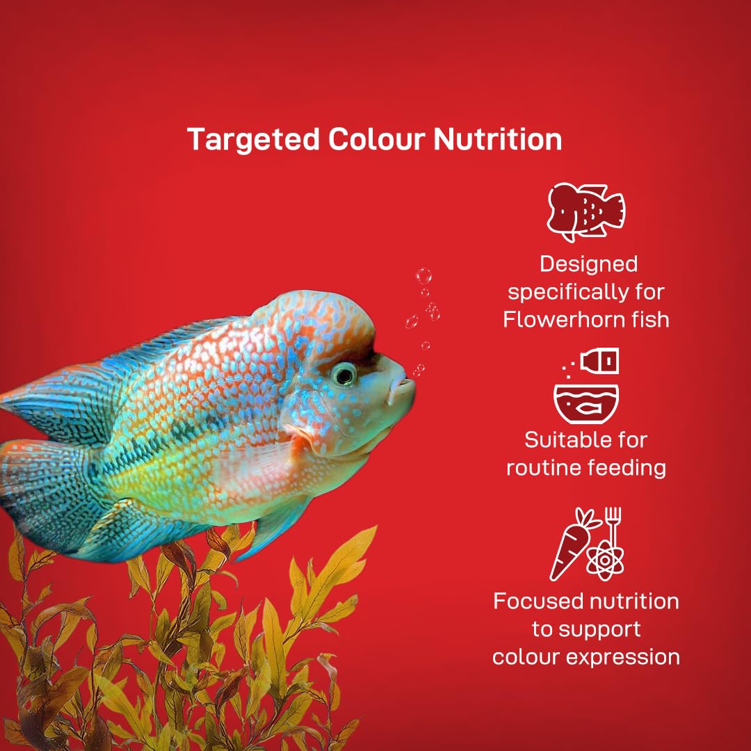 Drools Finsters Flower Horn Colour Enhancer (SML) 100g — Amazon image 4