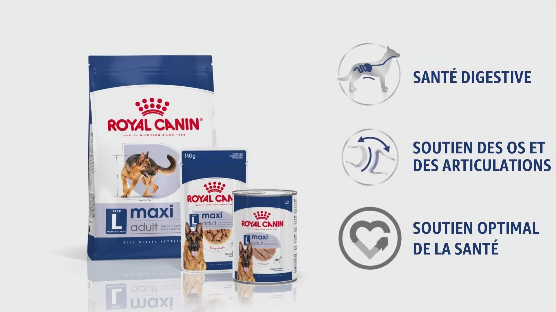 Royal Canin - Nourriture pour chien adulte - 4 kg