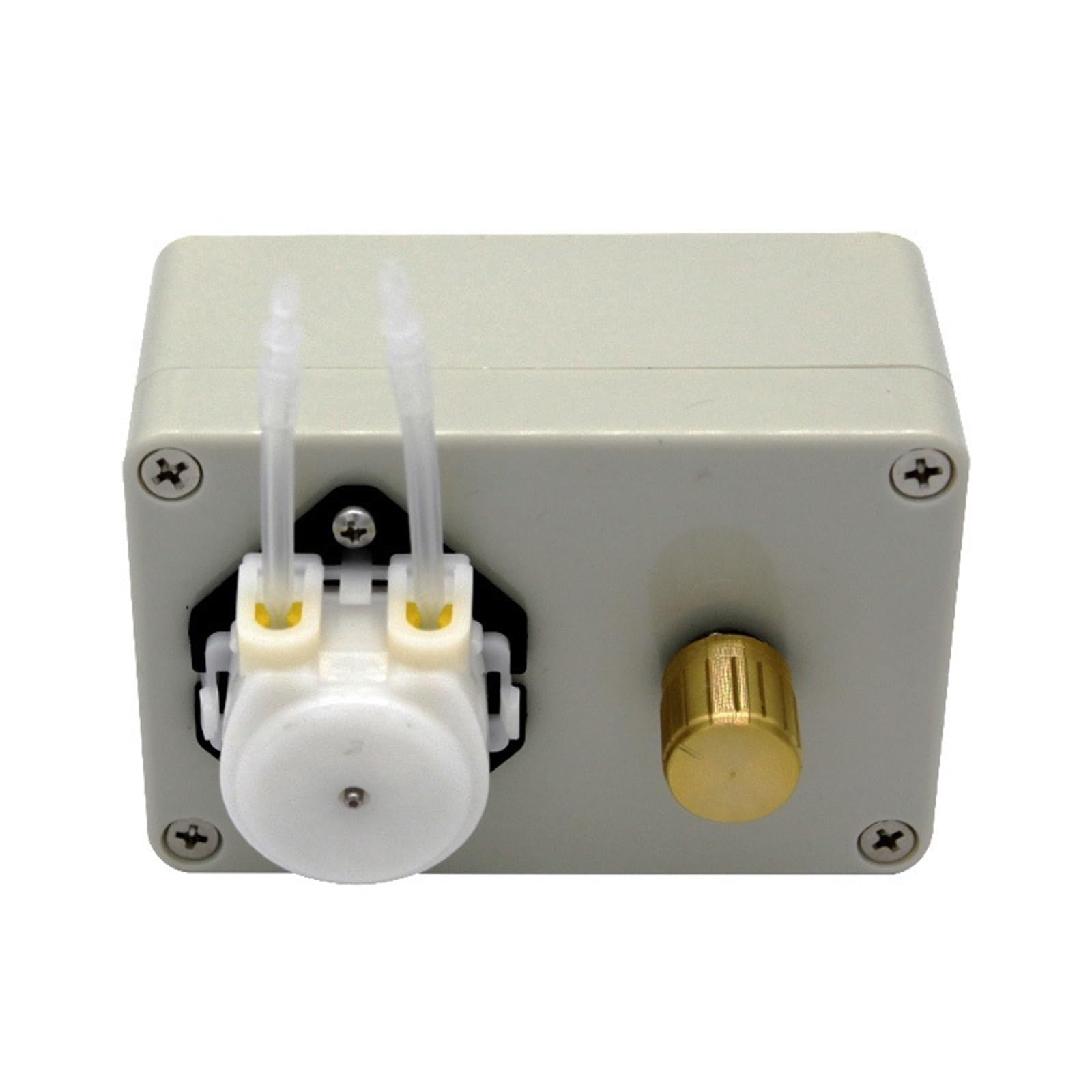 Pompa peristaltica ad alta precisione con velocità regolabile AC220V/240V - Pompa dosatrice da laboratorio da 100 ml/min(220V)