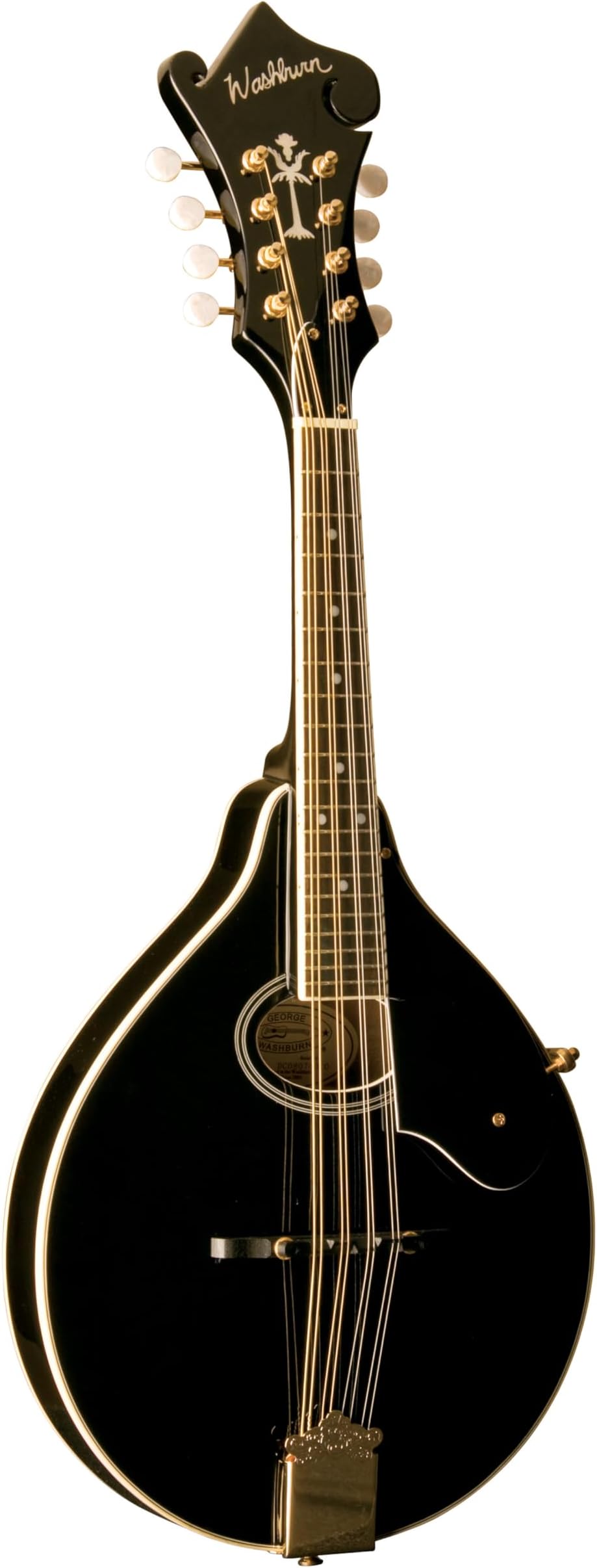 8-String Mandolin, Black (M1SDLB-A)