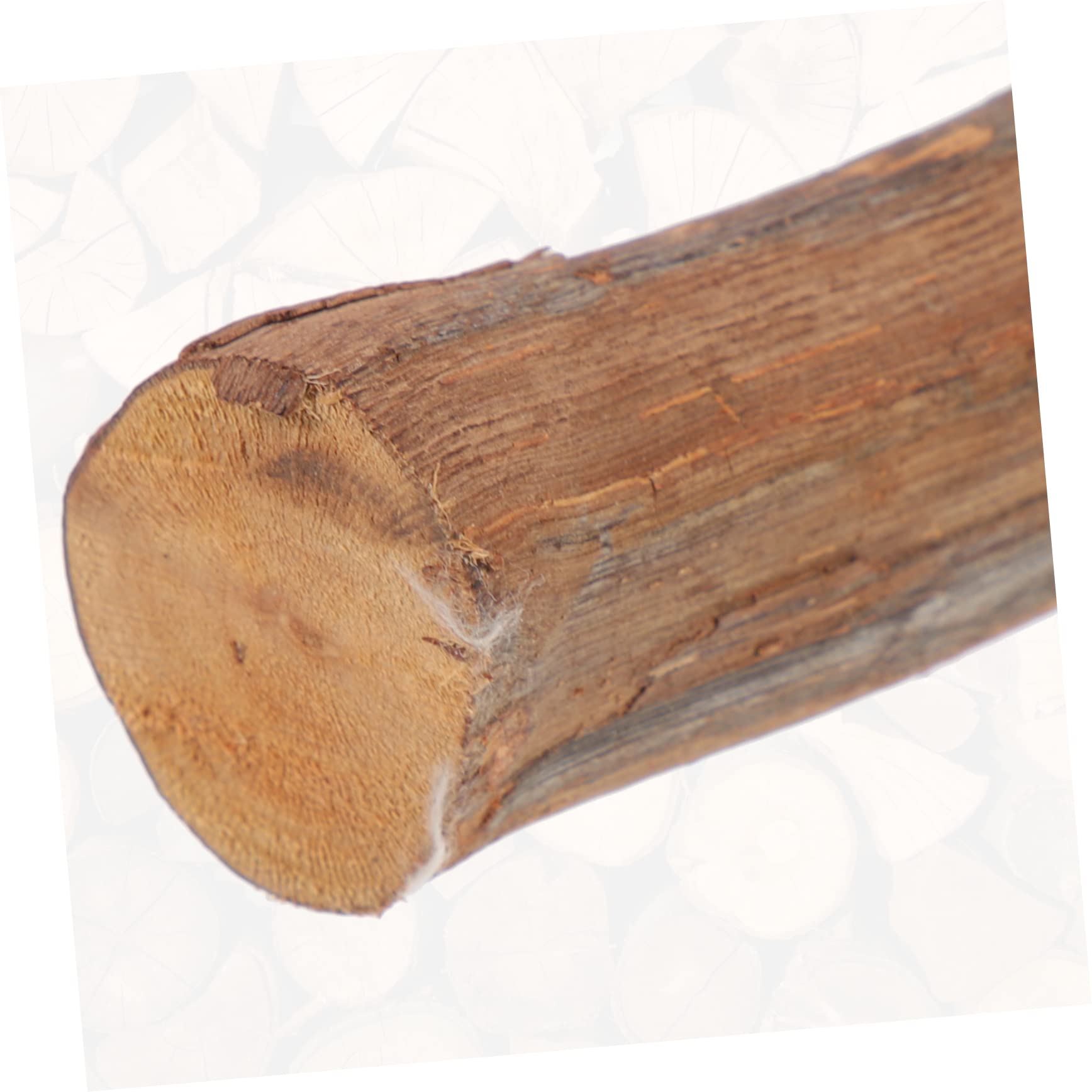 BESPORTBLE Accessorio per Rettili in Legno Superficie Liscia e Bordi Arrotondati, Supporto per Arrampicata e Gioco per Lucertole e Draghi Barbuti per Terrari Domestici