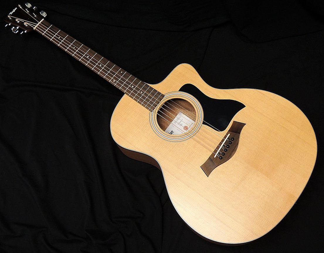 Amazon | Taylor 114CE テイラー グランドオーディトリアム エレアコ