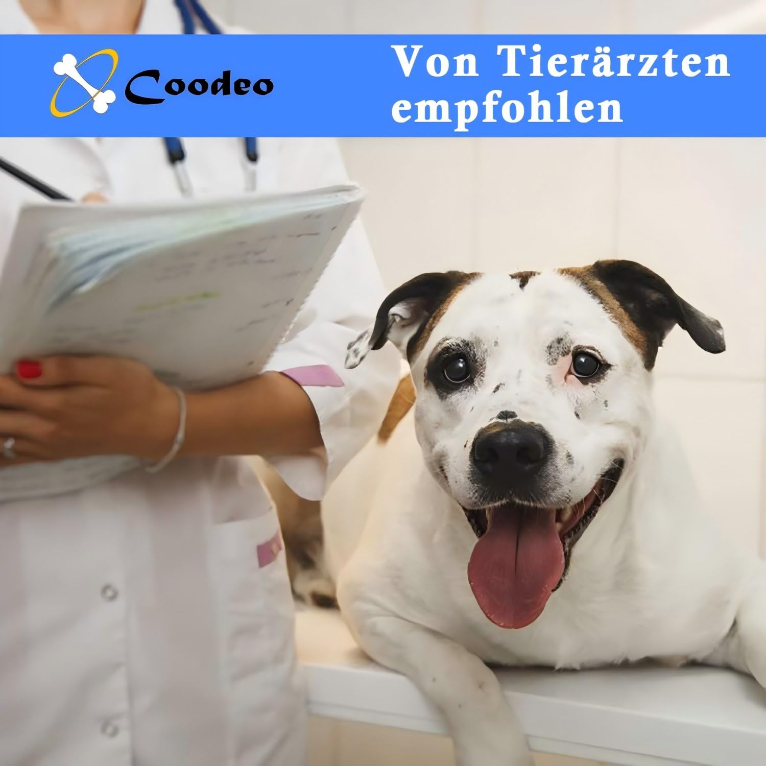 Coodeo Hundetragegurt: Unterstützungs & Rehabilitations-Schlinge, verstellbar gepolstert atmungsaktiv, für ältere, behinderte Hunde mit Gelenkproblemen oder Stabilitätsverlust (Schwarz, XL)