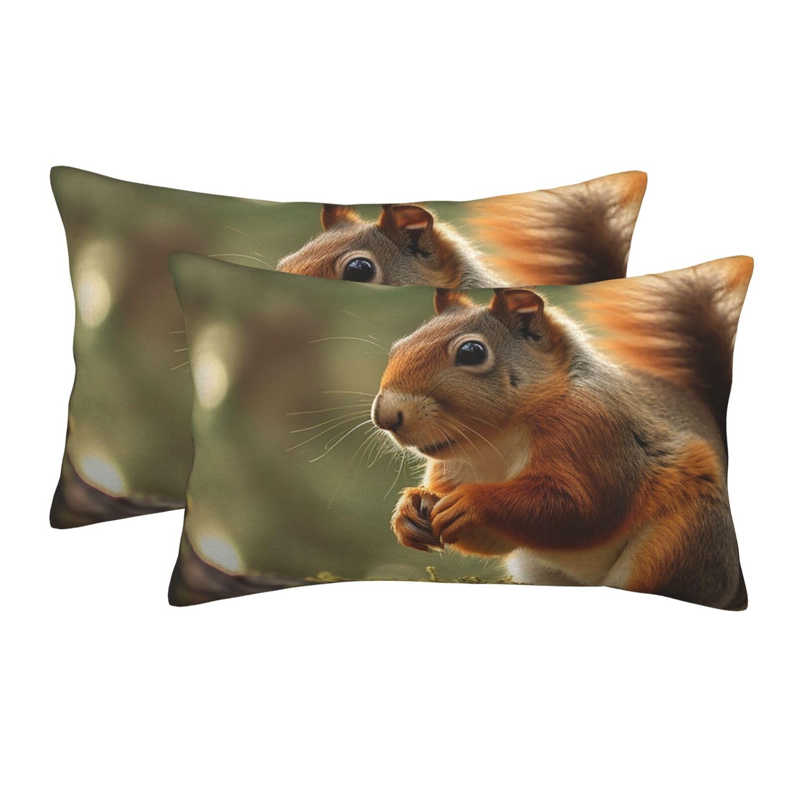 2 Pack Pillow Cases with Hidden Zipper, Soft Breathable Pillow Covers for Hair and Skin, Wildlife Forest Squirrel Pillowcases 16"x24" Bed Pillow Protectors Cover for Sleeping Gifts