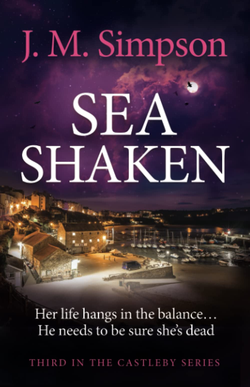 Sea Shaken The next twisty, gripping and unputdownable crime suspense thriller from the Castleby Series