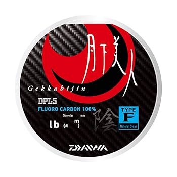 ロメロ タイプ2 とカタコン月下美人 スタンダード ミディアム