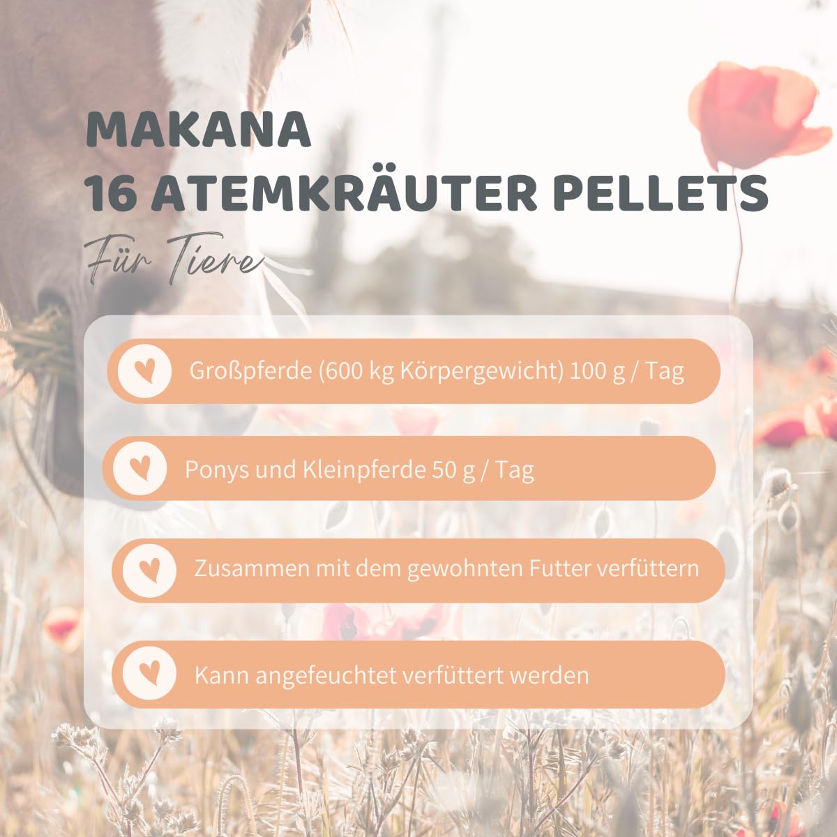 Makana 16 Atemkräuter mit Schwarzkümmel, 3er Pack (3 x 1 kg)
