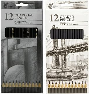 12 Pieces Professional GradedCharcoal Drawing Pencil for Artists Beginners Students Adults Kids Uses, Art & School Supplies (Graded Pencils)