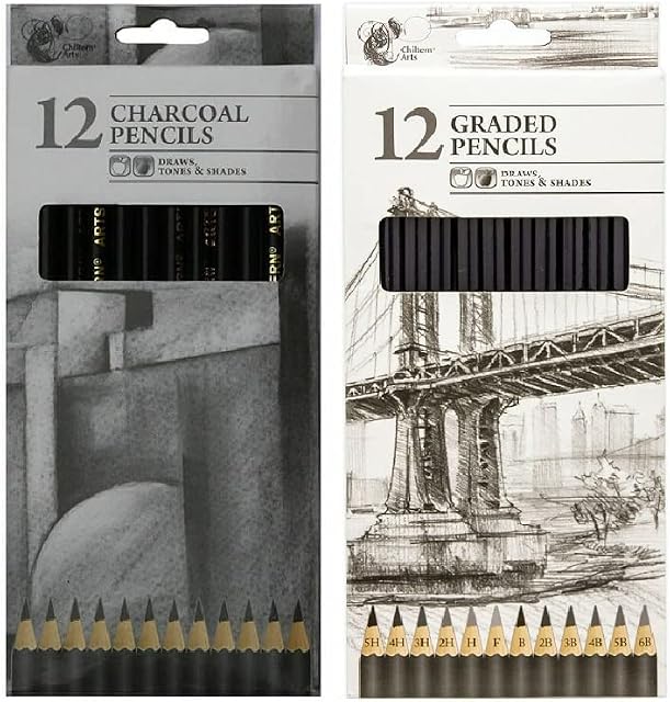 12 Pieces Professional GradedCharcoal Drawing Pencil for Artists Beginners Students Adults Kids Uses, Art & School Supplies (Graded Pencils)