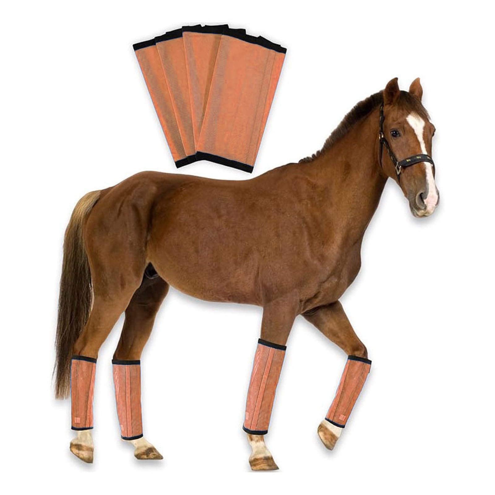 Bottes Anti-mouches Pour Chevaux - Lot De 4 En Maille Respirante Bleu Ciel