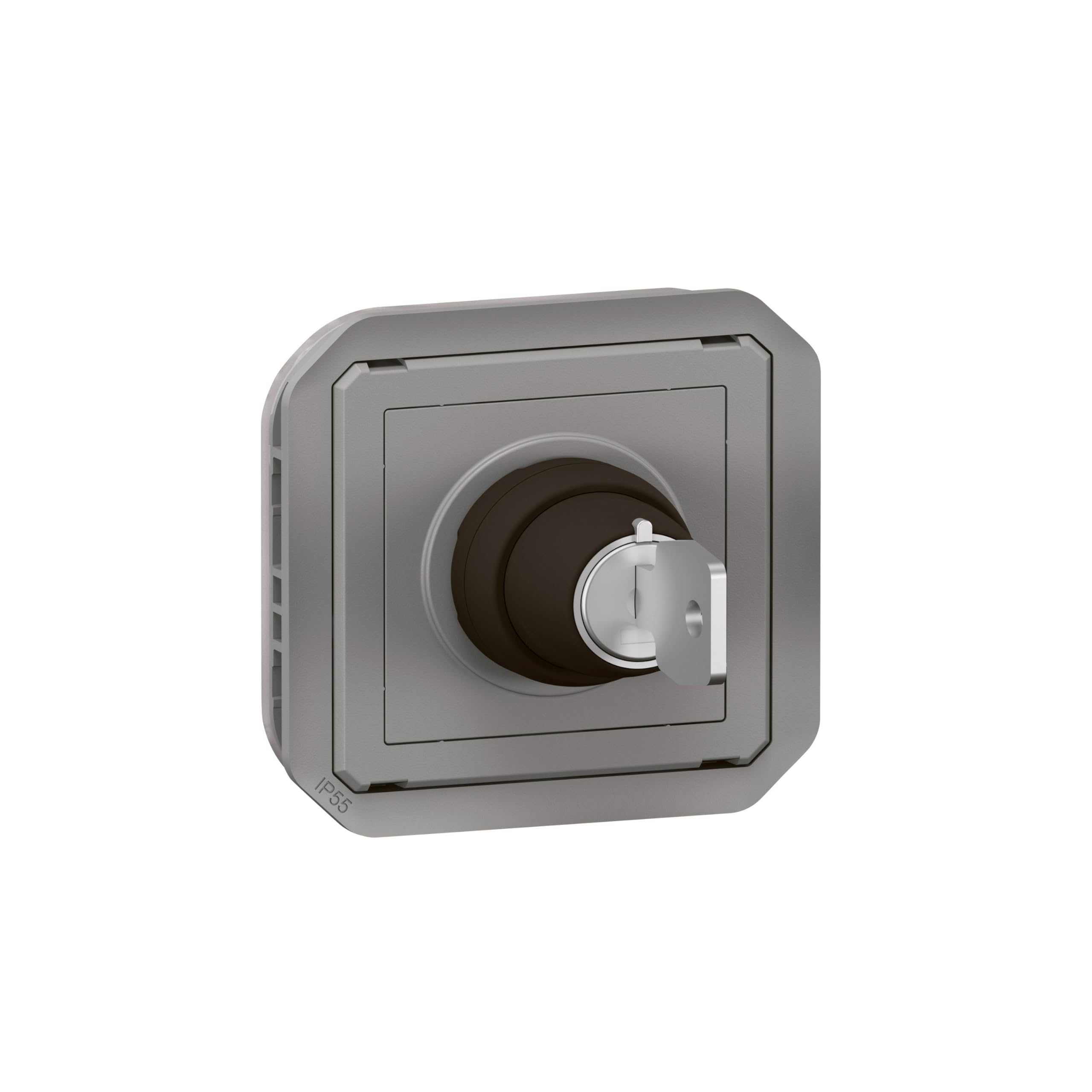 interrupteur à clé - ronis - 2 positions - gris - composable - legrand plexo 069534l