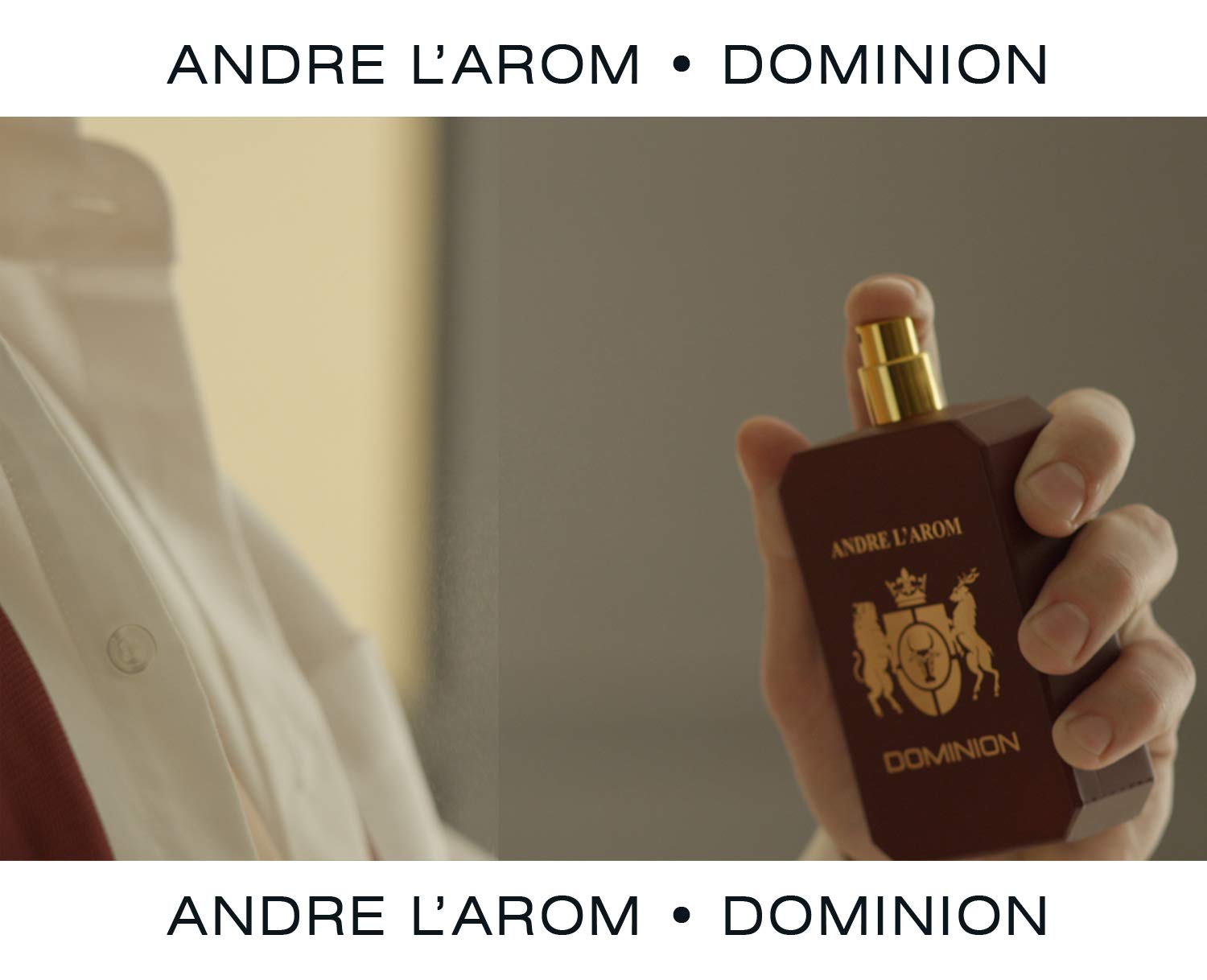 DOMINION Eau de parfum | Profumo per uomo 100 ml | lunga durata | fragranza Pelle | ottima idea regalo