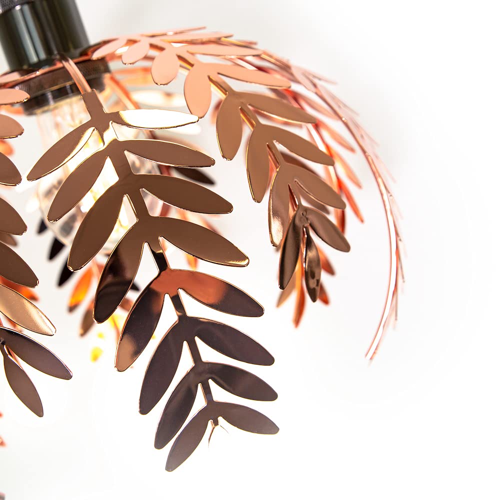 View 3