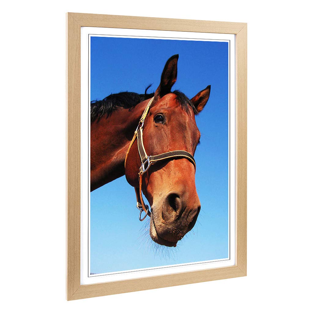 Big Box Art Framed Print of Horse Design | Wall Art Picture | Home Decor for Kitchen, Living, Dining Room, Lounge, Bedroom, Hallway, Office, Oak, A2 / 24.5x18 Inch / 62x45cm