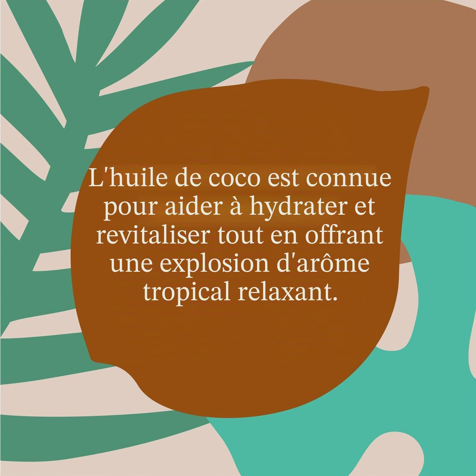 Faith in Nature Shampoing Naturel Huile de Coco, Hydratant, Végan et Respectueux des Animaux, Sans Parabènes et Sans SLS, Cheveux Normaux à Secs, Recharge 5L