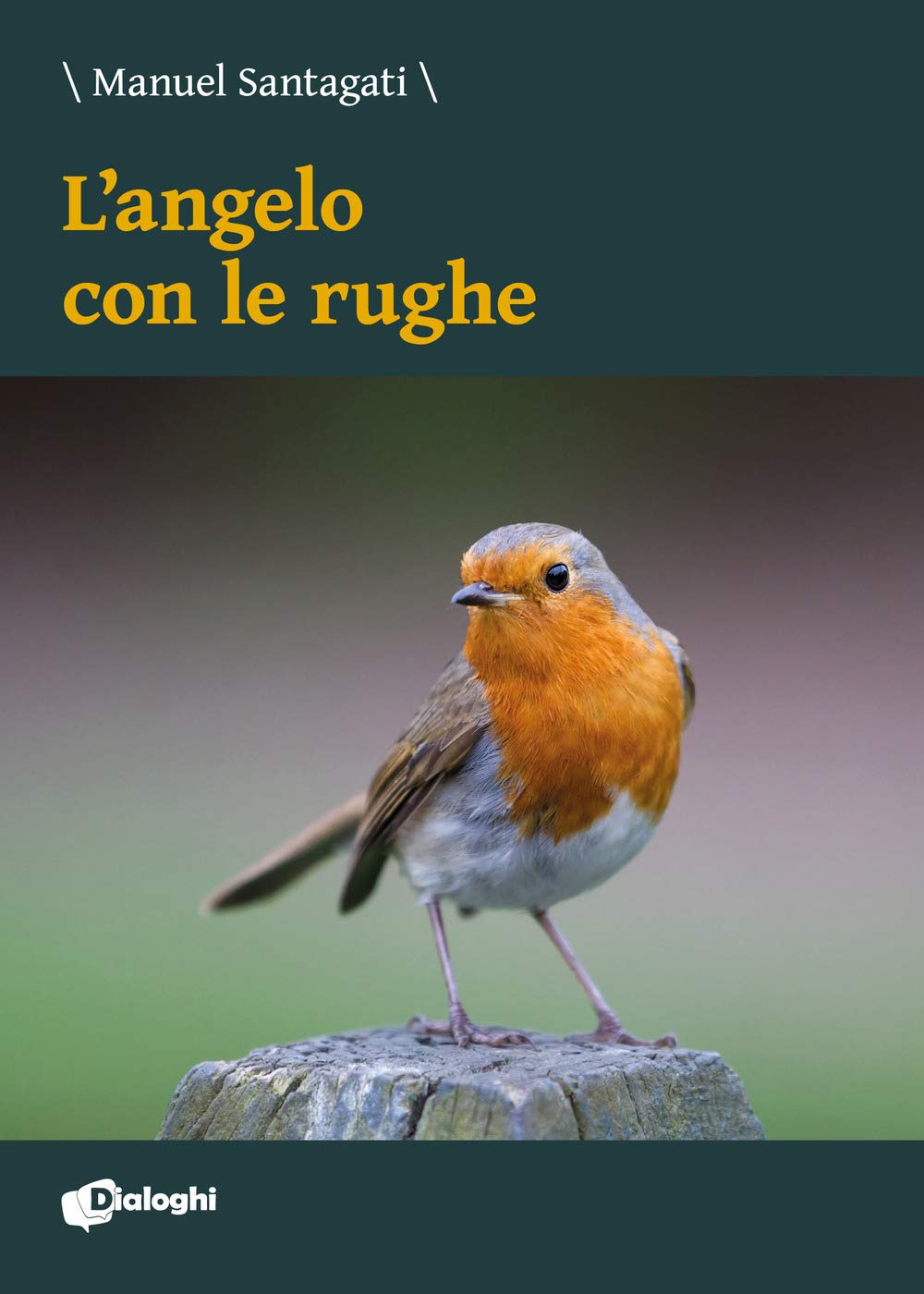 L'angelo Con Le Rughe - 4