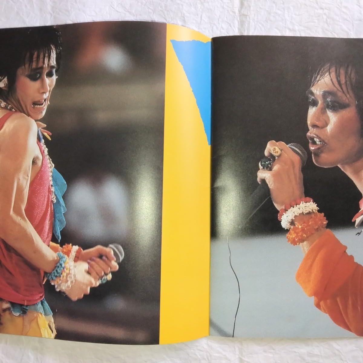 Amazon.co.jp: RCサクセション ツアーパンフレット 1982年 忌野