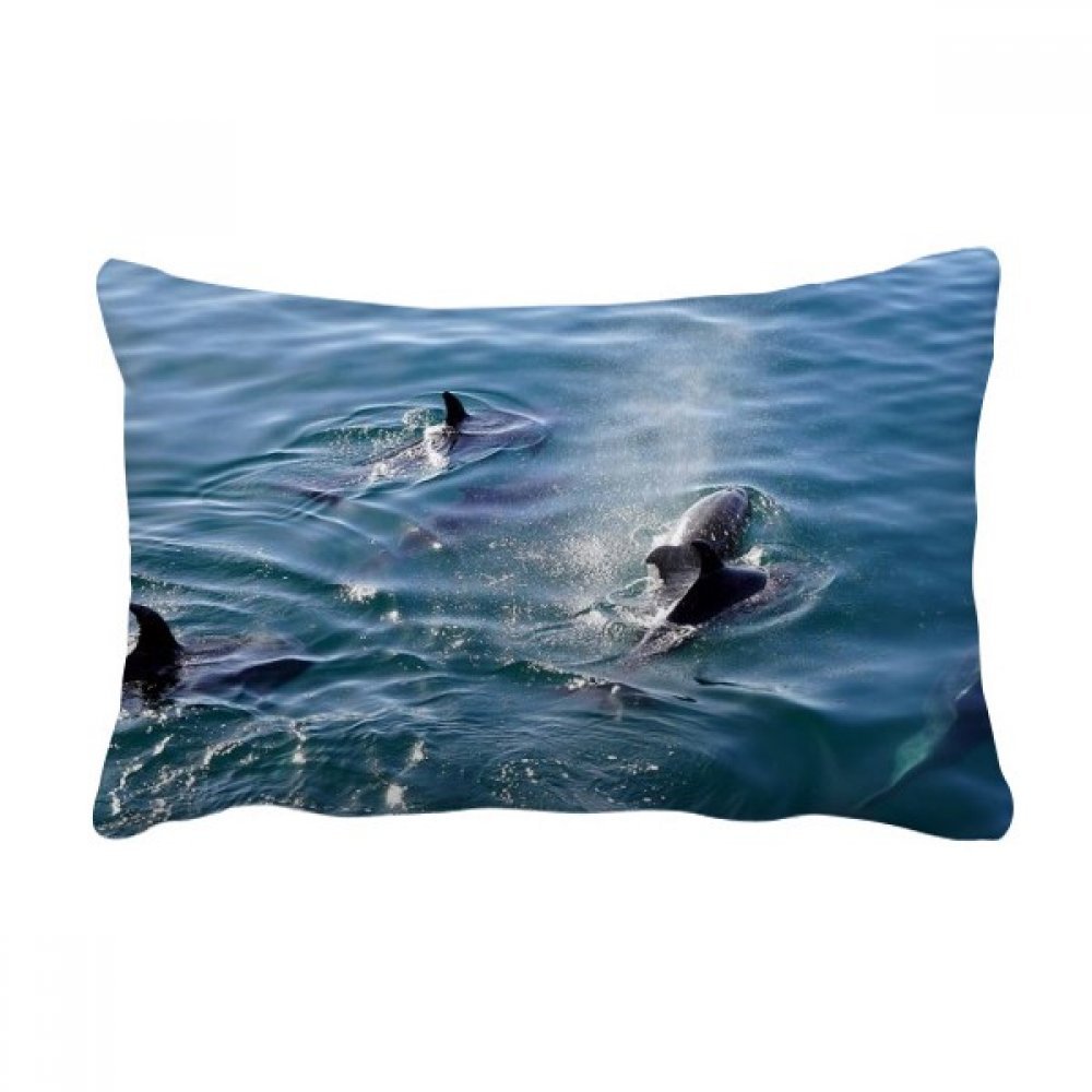 Coussin épaulard océan 40x60 cm décoratif pour canapé salon