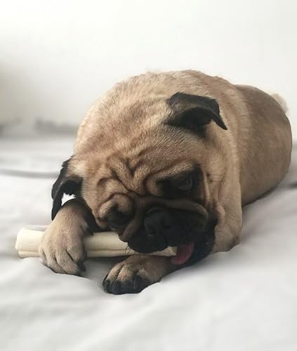 Miniatura 4 de Brazilian Pet Rollos recuperadores extra gruesos prémium de 7 a 8 pulgadas (paquete de 20), 100% natural, de una sola hoja de cuero crudo