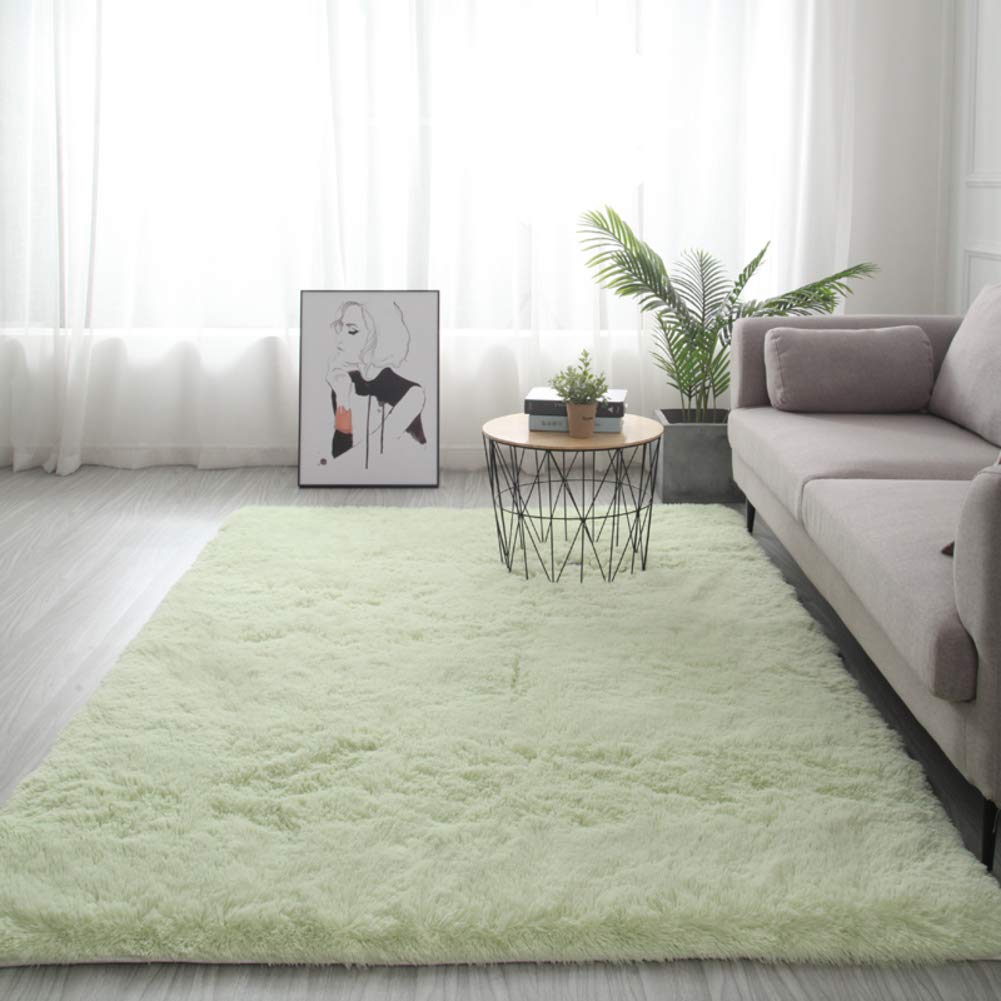 VBGHB Ultra Soft Fluffy Area Rug, for Decor Kitchen Dormitory Cozy and Comfy Carpet, Luxury Shaggy Rug Floor Mat-h 80x200cm(31x79inch)