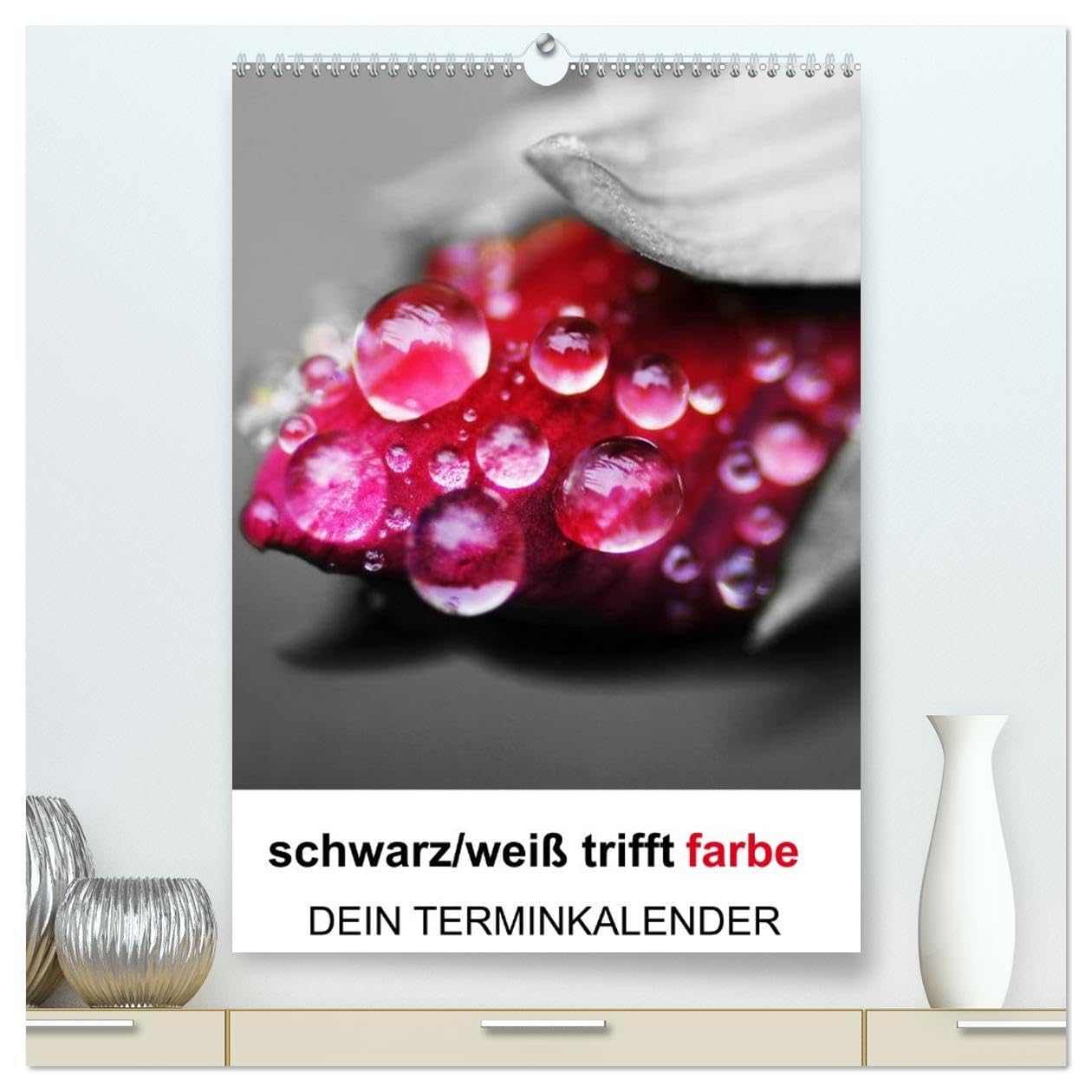 schwarz/weiß trifft farbe - DEIN TERMINKALENDER/Planer (hochwertiger Premium Wandkalender 2026 DIN A2 hoch), Kunstdruck in Hochglanz: Ein ... Fotos den besonderen Look (CALVENDO Natur)