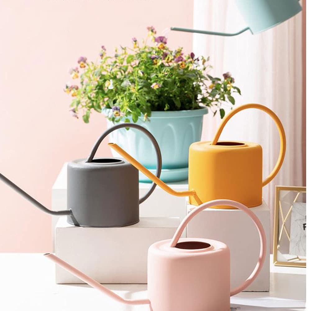 Arrosoir d'extérieur, arrosoir de Jardin, arrosoir d'intérieur