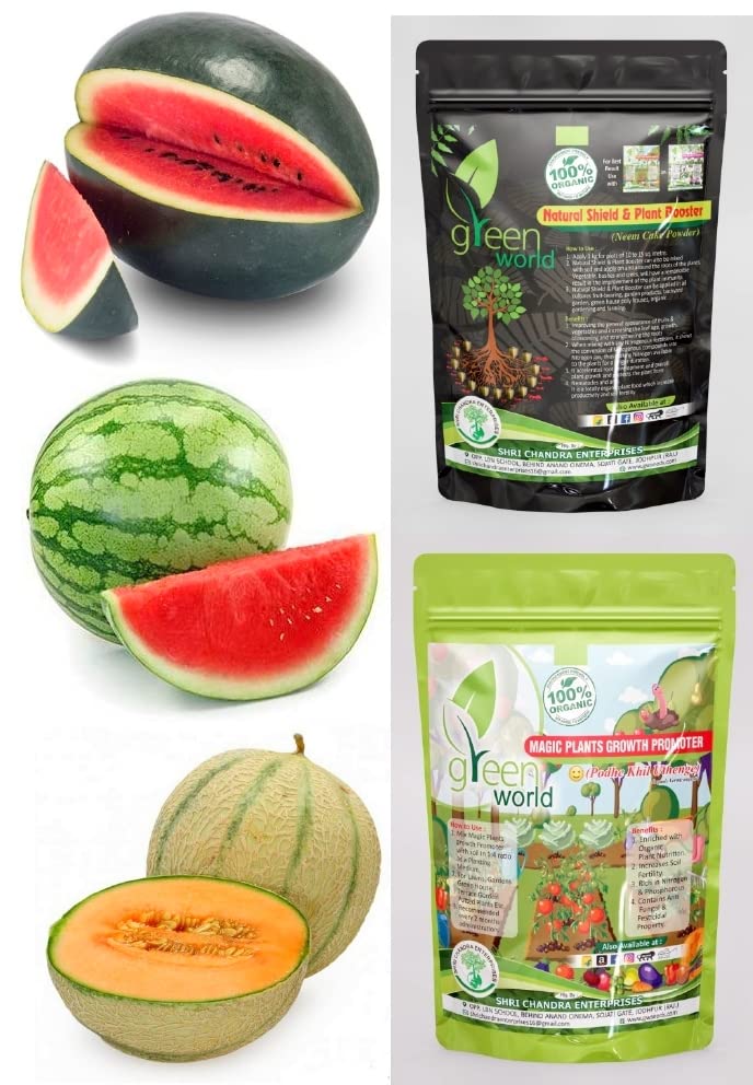 Green World Combo of [WATER MELON SANYA + WATERMELON AALAM DAKSH + MUSK MELON] Seeds With Organic Nutrients Manure (B0B46L37BL) Amazon Price History, Amazon Price Tracker