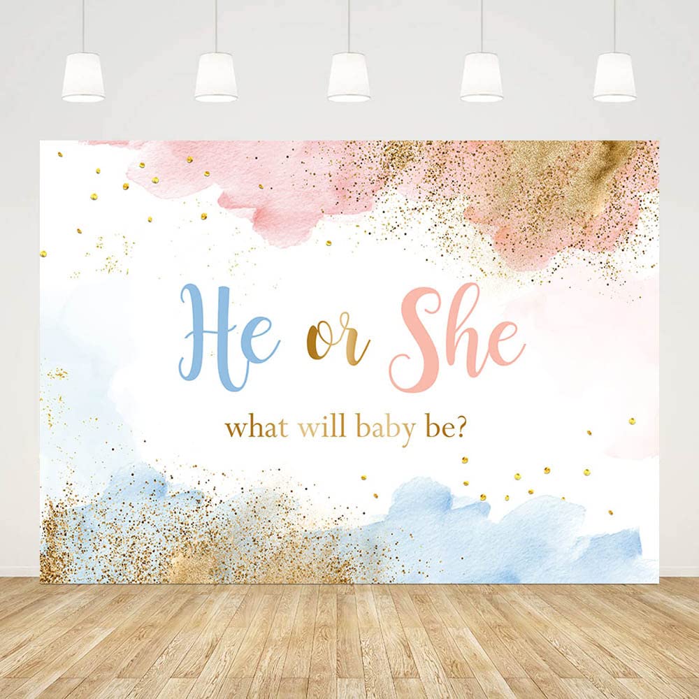 AIBIIN 7x5ft Gender Reveal Backdrop He or She What Will Baby Be Photography Background Watercolor Pastel Clouds Gender Reveal Party Decorations Cake