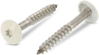 Holzschrauben 4,8X50 25 Stück Edelstahl A2 / V2A - Trespo Flachrundkopf-Holzbauschrauben mit Innensechsrund - rostfrei - Pulverbeschichtet RAL 1013 Perlweiß