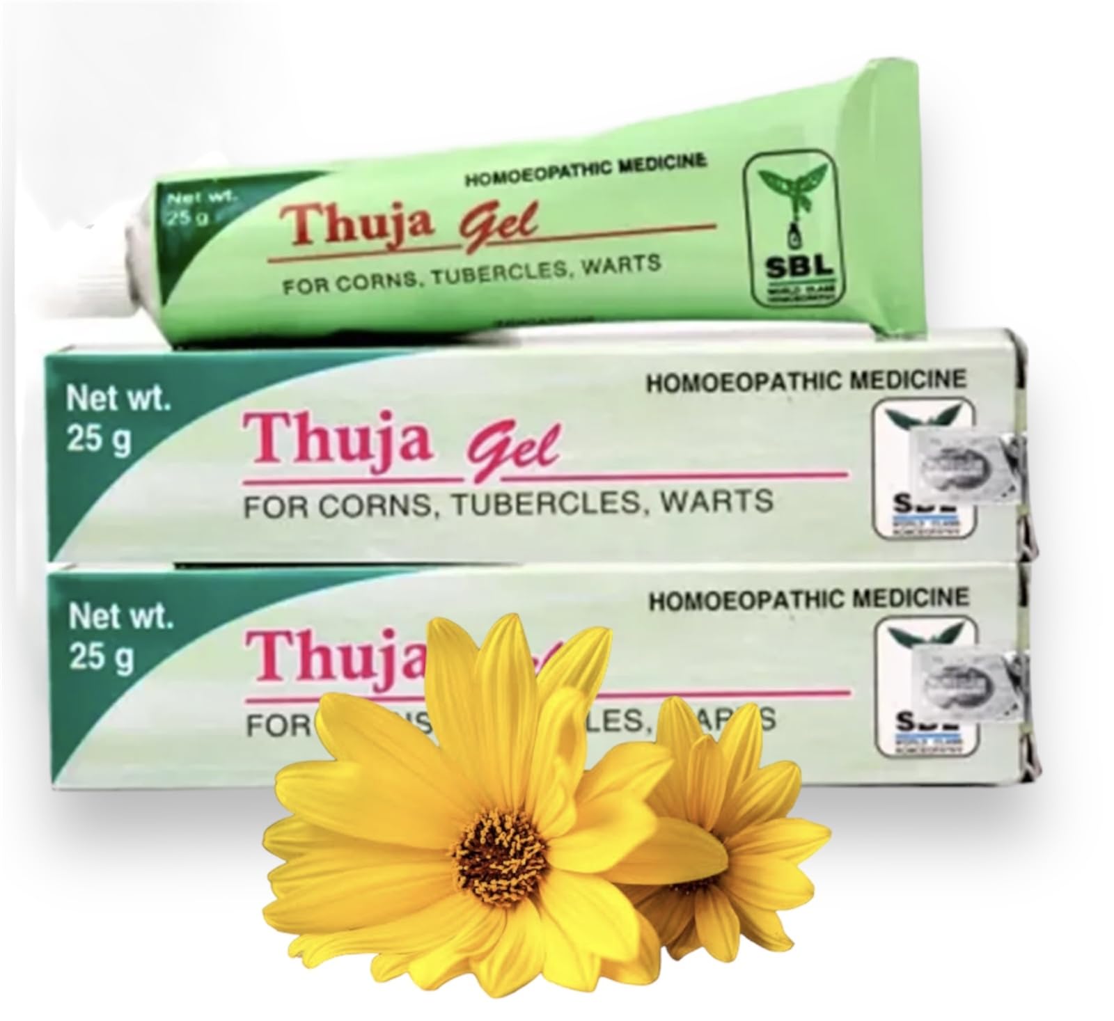 SBL Thuja Gel Tube Homeopathy Ointment For Warts - 25gm - Pack Of 2 (B0CHFD5LT4) Amazon Price History, Amazon Price Tracker