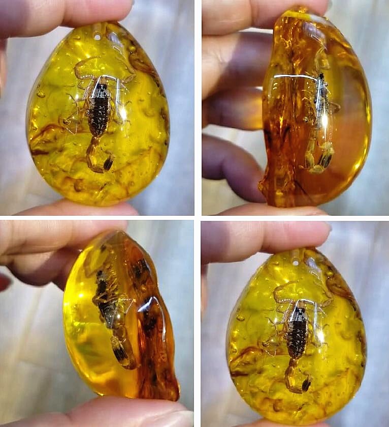 Image of EatingBiting Resin Amber Insect Pendant Scorpion Fossil Stone Crystal Home Decoration Samples Stones Specimens Home Decorations Collection Oval