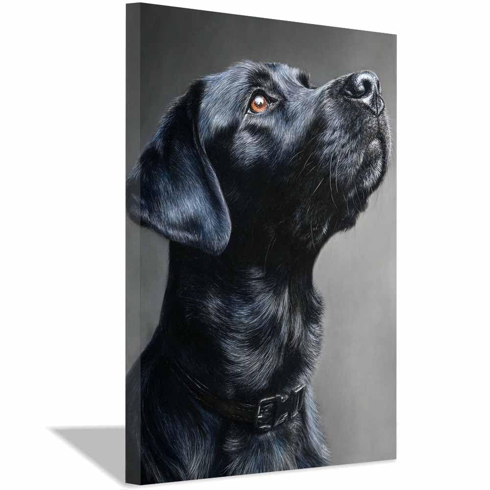 ZAMAEIU Canvas Print Wall Art Labrador Looking Abstract Dog Animal Paintings, Suitable for living room, bedroom, for Kids Room Decoretc.(black)-80x120cm Framed