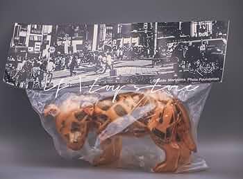 新品 未開封 伊勢丹限定 森山大道 × SECRET BASE 三沢の犬 61VoCzrtPQL._UF350,350_QL50_.jpg