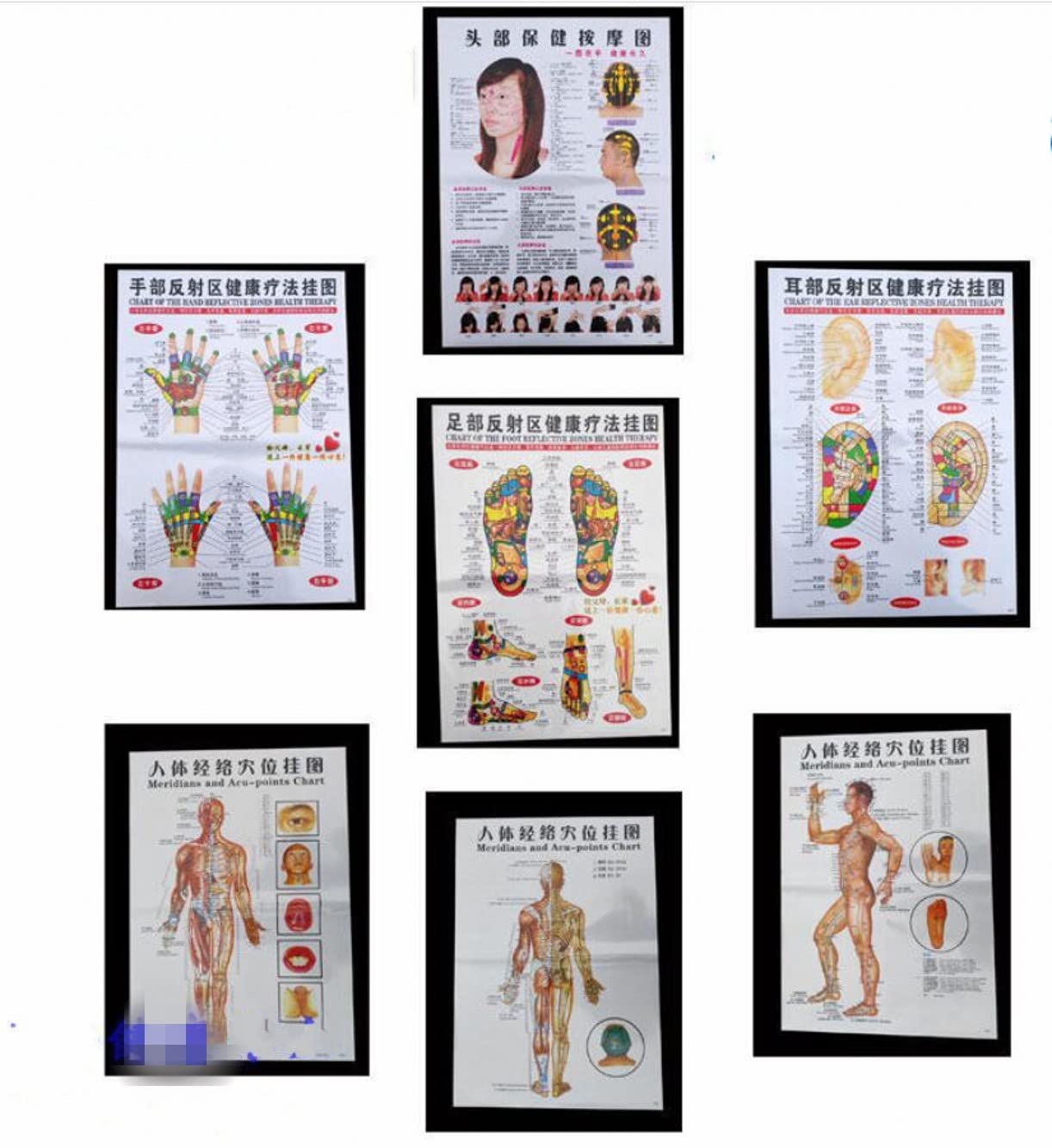 WellieSTR 7 Stlye Body Point Wall Chart Diagram,Human Stimulation Therapy 45x65cm-image-3