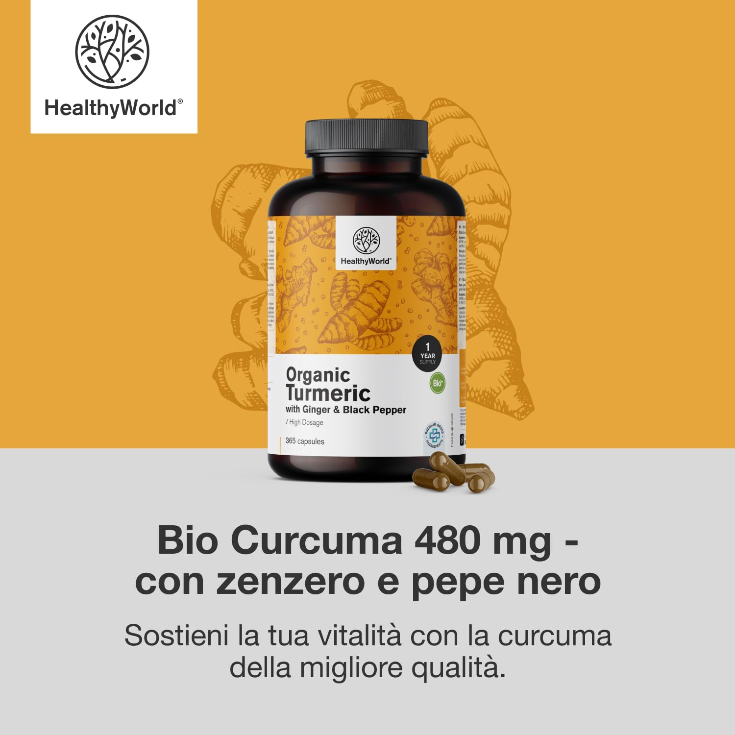 HealthyWorld BIO Curcuma 480 mg con Zenzero e Pepe Nero - 365 Capsule Vegetali - 1-anno di Fornitura - Per il sostegno delle Difese Immunitarie, del Fegato, delle Vie Respiratorie e del Cuore