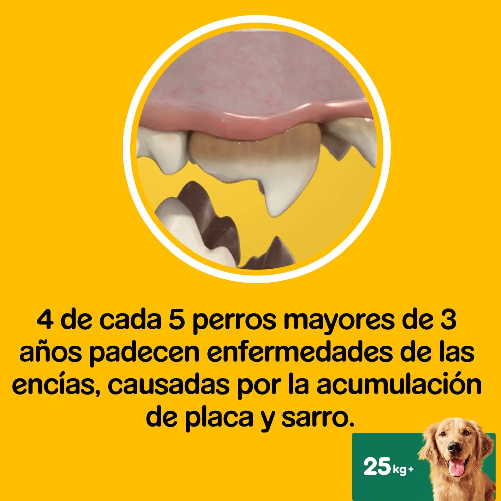 Pedigree Dentastix Fresh Snack Dental para la Higiene Oral y contra el Mal Aliento de Perros Grandes (10 Paquetes de 7ud)