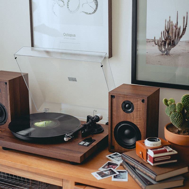 Tourne-Disque Syitren Koivu, Tourne-Disque Vinyle, Gramophone, Tourne-Disque rétro, Tourne-Disque Film Noir, Audio… - Les Beatles, Paul McCartney, John Lennon, RIngo Starr, George Harrison Tourne-Disque Syitren Koivu, Tourne-Disque Vinyle, Gramophone, Tourne-Disque rétro, Tourne-Disque Film Noir, Audio… – Image 7