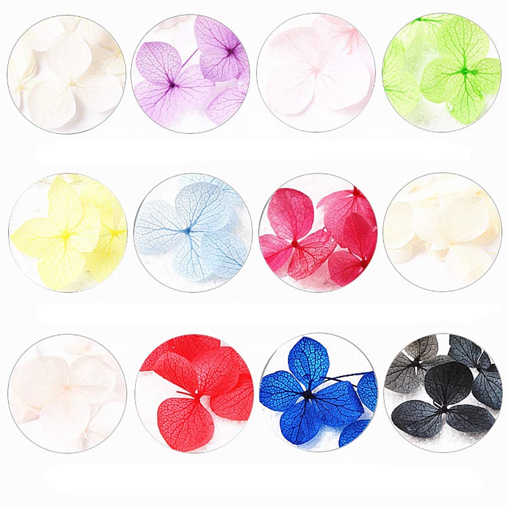Nail Art Nagelaufkleber, natürliche getrocknete Blumen, 3D-Nagelaufkleber, 12 Farben