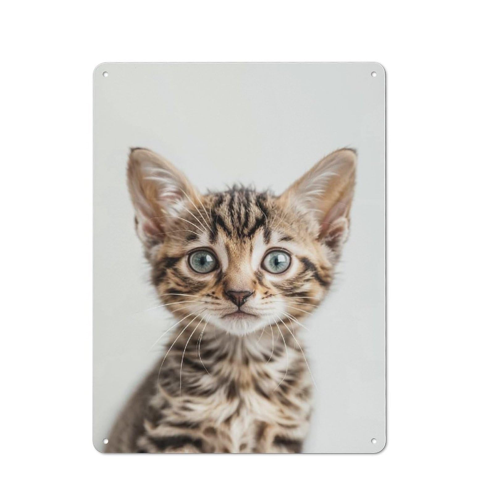 Junmoney Style-19 Tin Wall Plaque 40X30cm With Cute Baby Bengal Cat For Guest Room Or Hallway, For Garage, Workshop And Man Cave Decoration