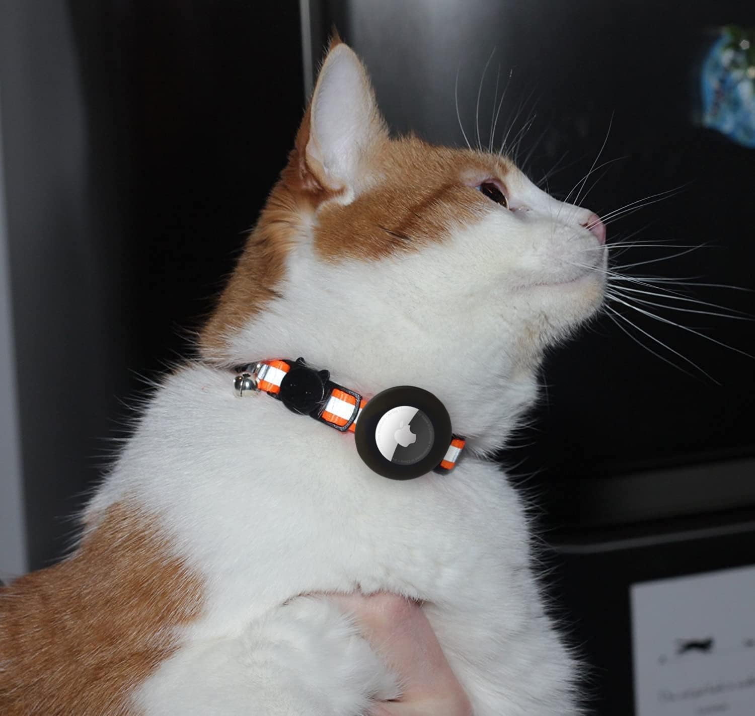 Reflektierendes Katzenhalsband mit Glöckchen, 6 Stück, solide und sichere Halsbänder für Katzen, Nylon, gemischte Farben, Haustierhalsband, Abreißanhänger, Schwarz