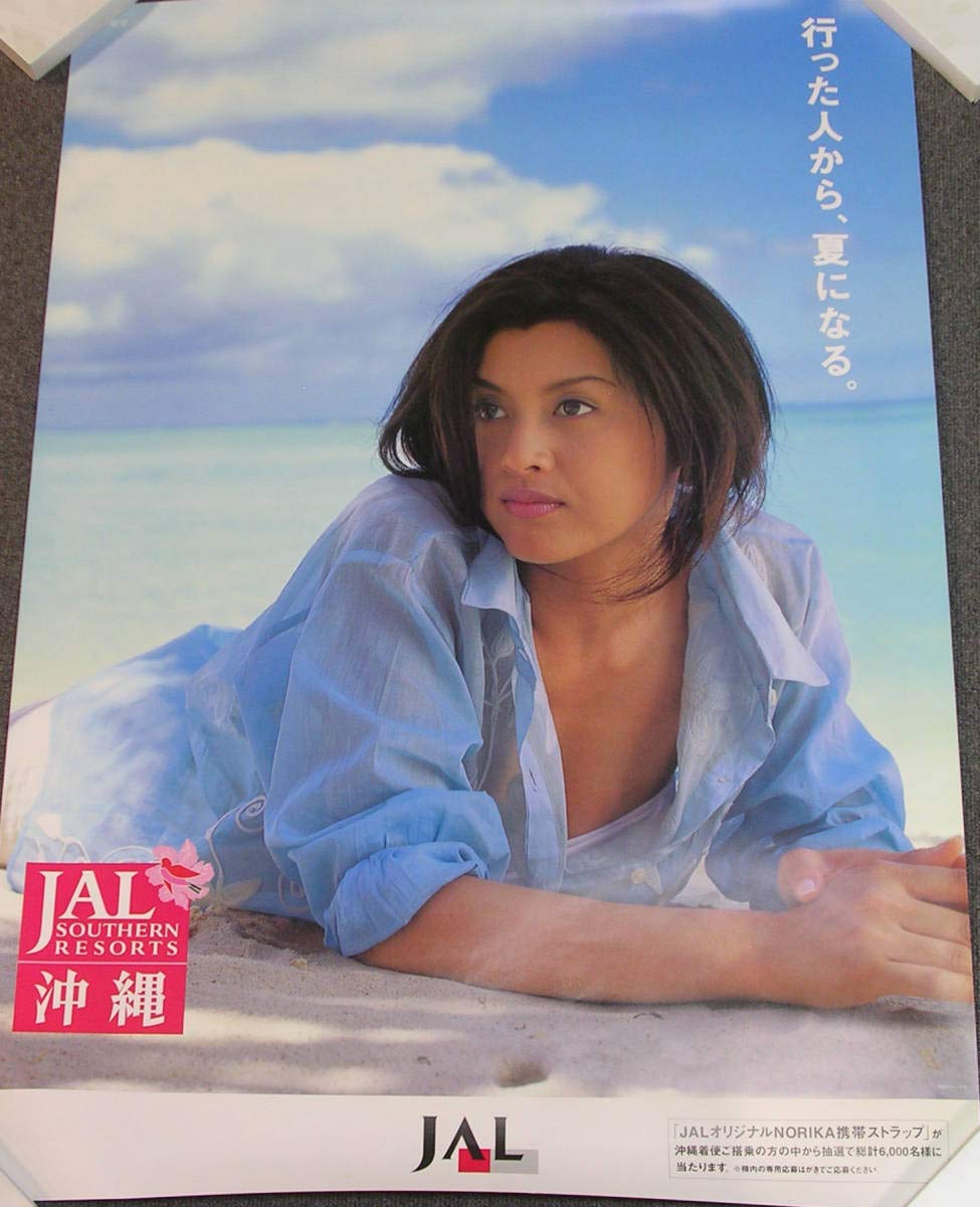 藤原紀香 JALホームページ ガイドブック できるシリーズ 藤原紀香 JALホームページ ガイドブック できるシリーズ