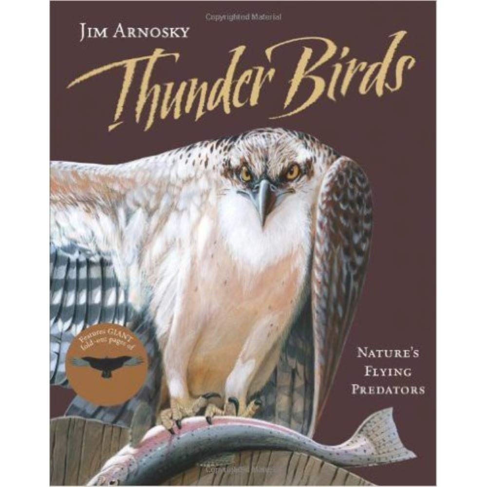 Thunder Birds: Nature's Flying Predators