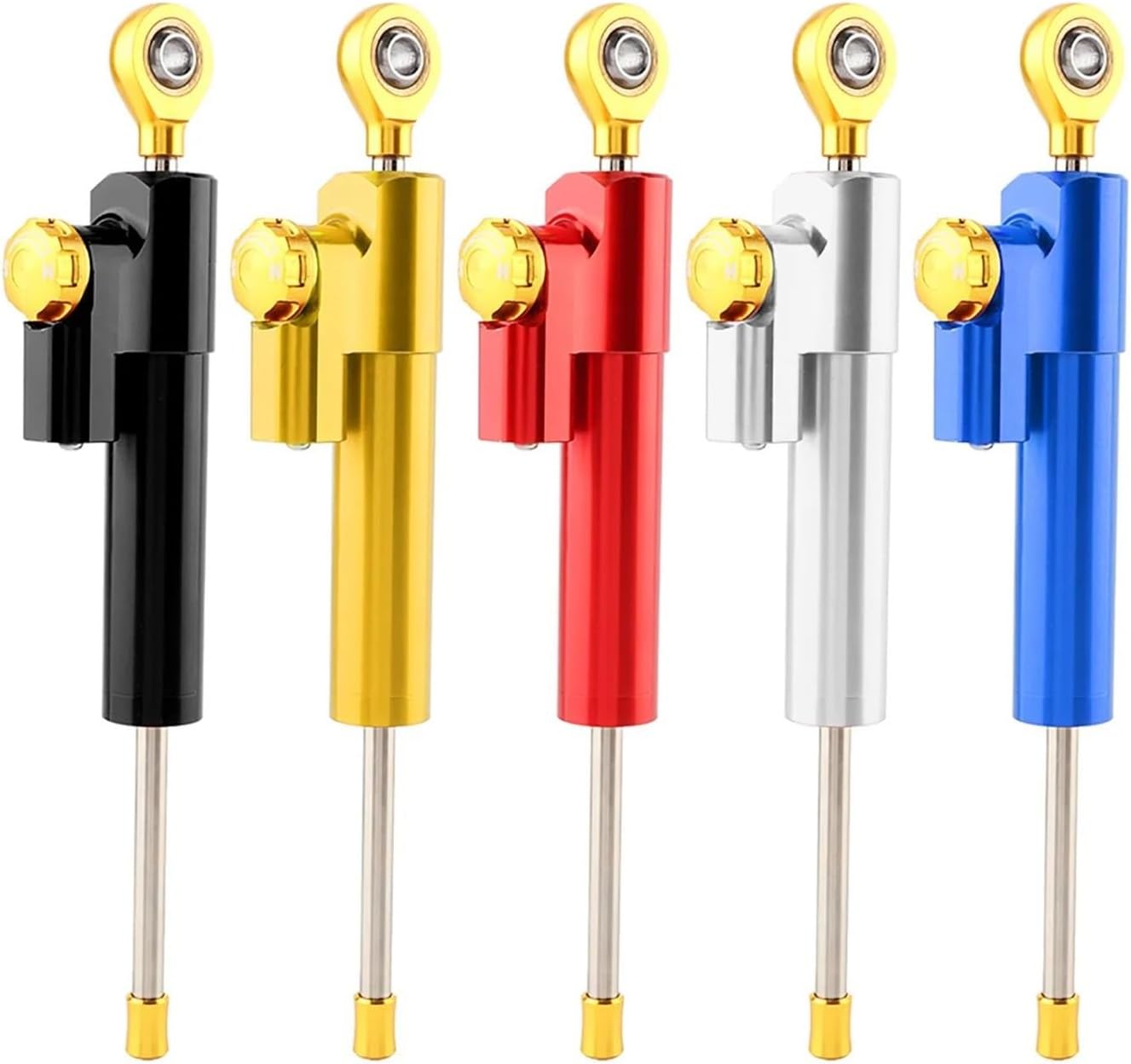 法螺貝　最大25cm、シャコガイ、珊瑚セット 法螺貝 最大25cm、シャコガイ、珊瑚セット