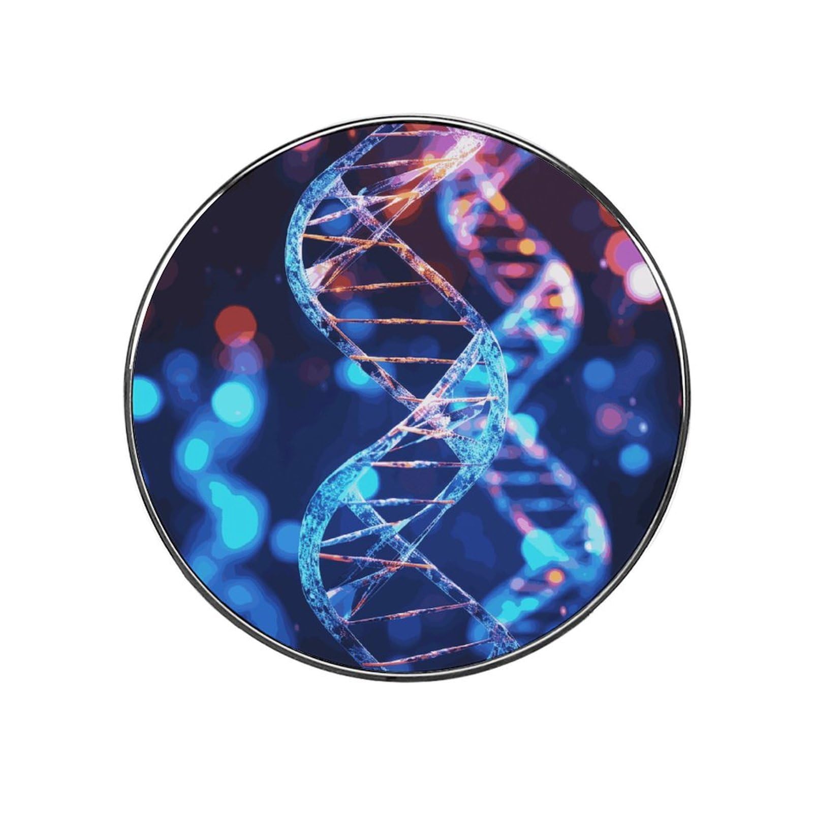 DNA Genetic Helix Fridge Magnets Colorful Refrigerator Magnet with Cute Decorative Designs Strong Fridge Magnetic Stickers for Kitchen Office Locker Decoration