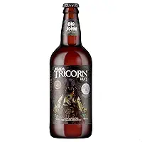 Cerveja Brasileira Big John Tricorn Hat NeAPA 500ml