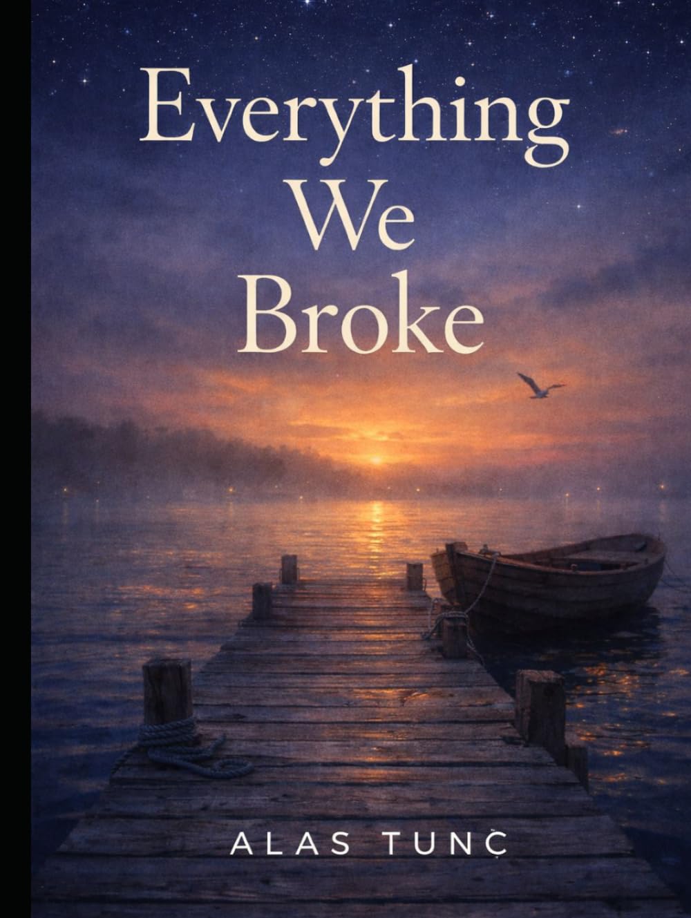 EVERYTHING WE BROKE