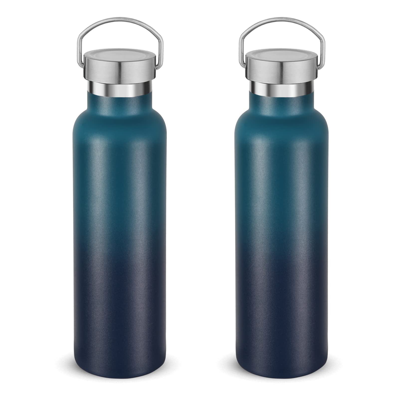 Neihepal 20 oz Insulated Water Bottles Bulk 2 Pack,Stainless Steel Double Wall Sport Bottle with Lid of Handle,Metal Reusable Thermoses Flask for