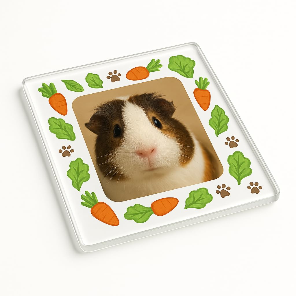 The Plum Penguin Guinea Pig Acrylic Coaster Gift With Whimsy Pet Frame Design - Custom Photo Decor For Pet Lovers' Homes