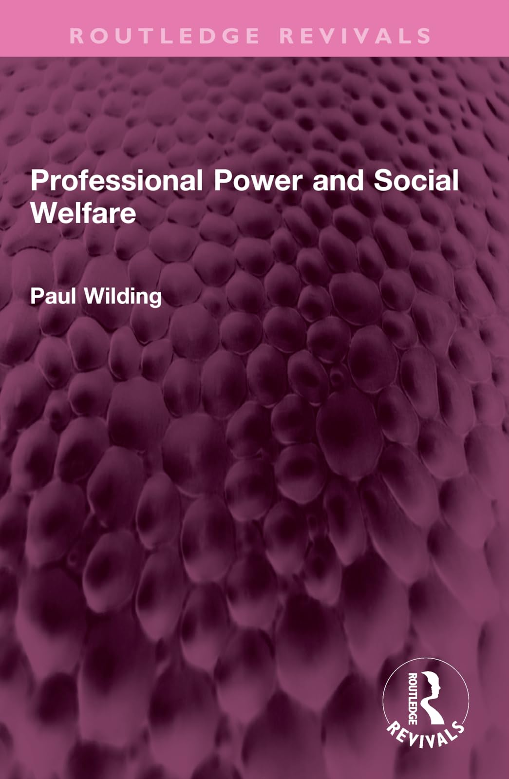 Professional Power and Social Welfare (Routledge Revivals)