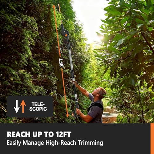 7 Best Extended Pole Hedge Trimmers of 2026